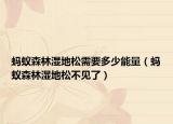 螞蟻森林濕地松需要多少能量（螞蟻森林濕地松不見了）