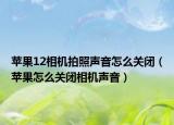 蘋果12相機(jī)拍照聲音怎么關(guān)閉（蘋果怎么關(guān)閉相機(jī)聲音）