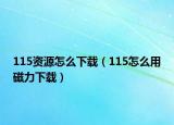 115資源怎么下載（115怎么用磁力下載）