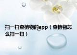 掃一掃查植物的app（查植物怎么掃一掃）