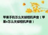 蘋果手機怎么關掉相機聲音（蘋果x怎么關掉相機聲音）