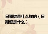 日期鍵是什么樣的（日期鍵是什么）