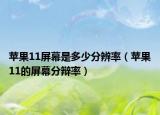 蘋果11屏幕是多少分辨率（蘋果11的屏幕分辯率）