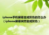 iphone手機(jī)屏幕變成灰色的怎么辦（iphone屏幕突然變成灰色）