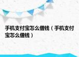 手機(jī)支付寶怎么借錢（手機(jī)支付寶怎么借錢）