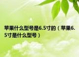 蘋果什么型號是6.5寸的（蘋果6.5寸是什么型號）