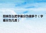 剪映怎么把字幕分為很多個(gè)（字幕分為幾類）