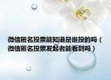 微信匿名投票能知道是誰投的嗎（微信匿名投票發(fā)起者能看到嗎）