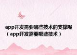app開(kāi)發(fā)需要哪些技術(shù)的支撐呢（app開(kāi)發(fā)需要哪些技術(shù)）