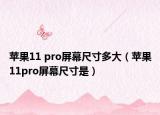 蘋果11 pro屏幕尺寸多大（蘋果11pro屏幕尺寸是）