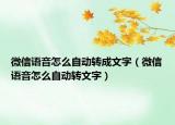 微信語音怎么自動(dòng)轉(zhuǎn)成文字（微信語音怎么自動(dòng)轉(zhuǎn)文字）