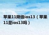 蘋果11降級ios13（蘋果11是ios13嗎）