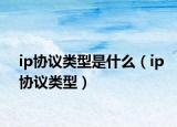 ip協(xié)議類型是什么（ip協(xié)議類型）