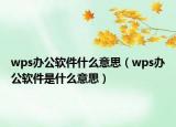 wps辦公軟件什么意思（wps辦公軟件是什么意思）