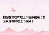 如何在嗶哩嗶哩上下載原視頻（怎么從嗶哩嗶哩上下視頻）