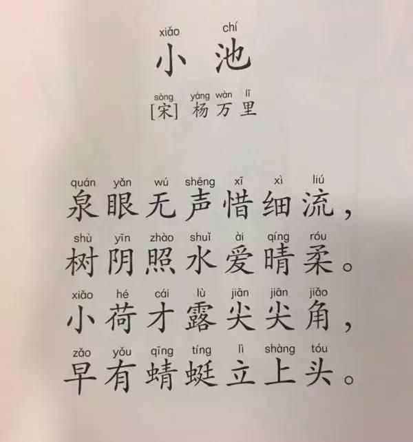 小學生一天背一首古詩詞⑤ 小池｜附詳細注釋與解析