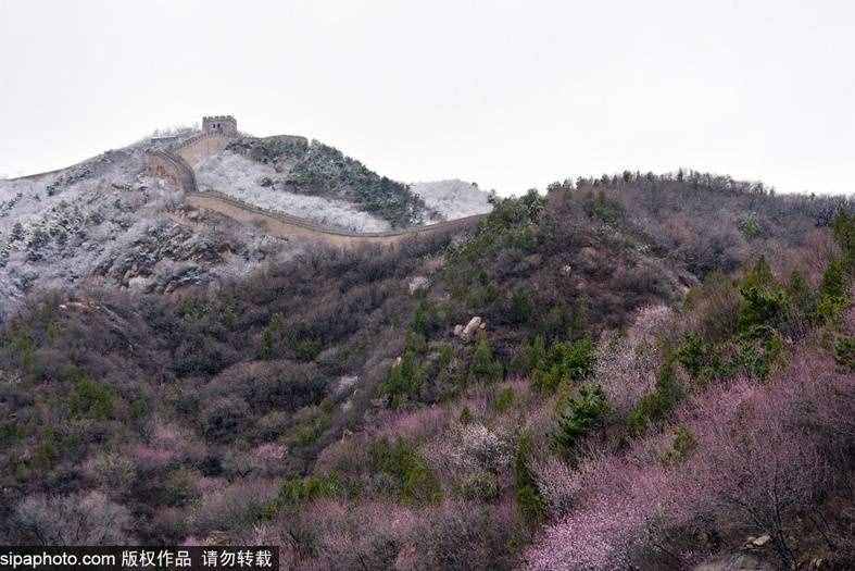 清明假期去哪玩？登京郊這6處長城賞漫山春花，與悠久歷史對話！