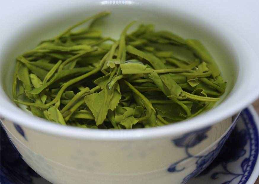 怎么有這么多叫“雪芽”的茶！它們都是綠茶嗎？