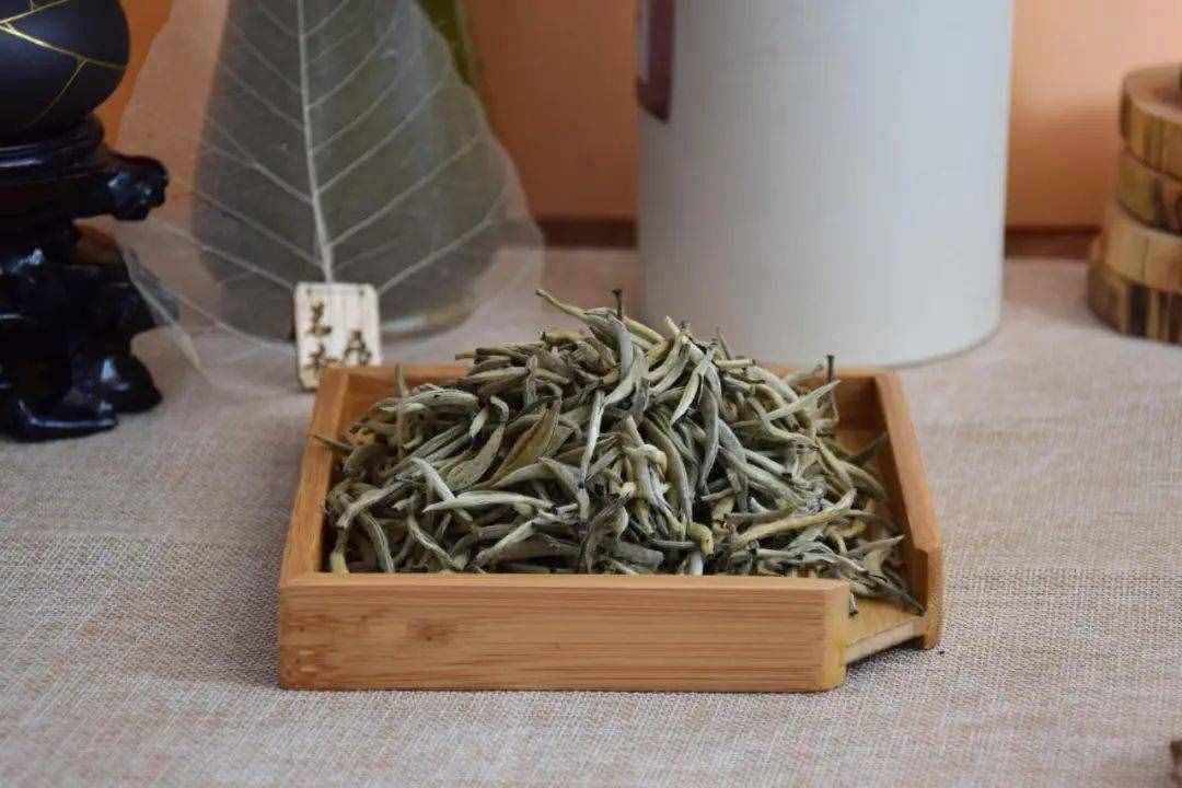 怎么有這么多叫“雪芽”的茶！它們都是綠茶嗎？