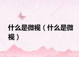 什么是微視（什么是微視）