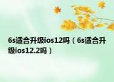 6s適合升級ios12嗎（6s適合升級ios12.2嗎）