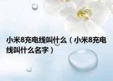 小米8充電線叫什么（小米8充電線叫什么名字）