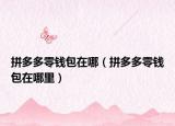 拼多多零錢包在哪（拼多多零錢包在哪里）