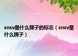 snsv是什么牌子的標志（snsv是什么牌子）