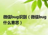 微信bug識別（微信bug什么意思）