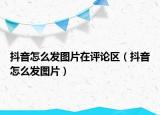 抖音怎么發(fā)圖片在評論區(qū)（抖音怎么發(fā)圖片）