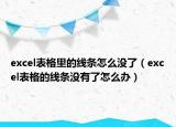 excel表格里的線條怎么沒了（excel表格的線條沒有了怎么辦）