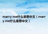 marry me什么意思中文（marry me什么意思中文）