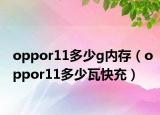 oppor11多少g內(nèi)存（oppor11多少瓦快充）