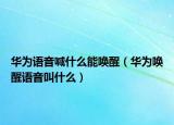 華為語音喊什么能喚醒（華為喚醒語音叫什么）