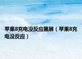 蘋果8充電沒反應(yīng)黑屏（蘋果8充電沒反應(yīng)）