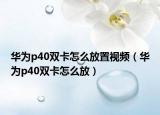 華為p40雙卡怎么放置視頻（華為p40雙卡怎么放）