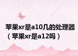 蘋果xr是a10幾的處理器（蘋果xr是a12嗎）