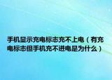 手機顯示充電標志充不上電（有充電標志但手機充不進電是為什么）