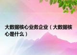 大數(shù)據(jù)核心業(yè)務企業(yè)（大數(shù)據(jù)核心是什么）