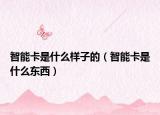 智能卡是什么樣子的（智能卡是什么東西）