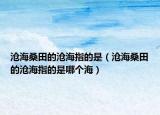 滄海桑田的滄海指的是（滄海桑田的滄海指的是哪個海）