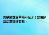 剪映卸載后草稿不見了（剪映卸載后草稿還有嗎）