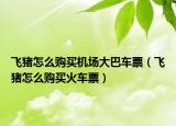 飛豬怎么購(gòu)買機(jī)場(chǎng)大巴車票（飛豬怎么購(gòu)買火車票）