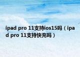 ipad pro 11支持ios15嗎（ipad pro 11支持快充嗎）