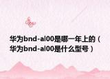 華為bnd-al00是哪一年上的（華為bnd-al00是什么型號）