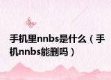 手機里nnbs是什么（手機nnbs能刪嗎）