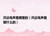 共達(dá)電聲是哪里的（共達(dá)電聲是做什么的）