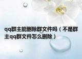 qq群主能刪除群文件嗎（不是群主qq群文件怎么刪除）