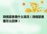 微信禁言是什么情況（微信禁言是怎么回事）
