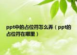 ppt中的占位符怎么弄（ppt的占位符在哪里）
